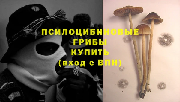 марихуана Баксан
