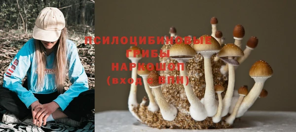 мяу мяу мука Надым
