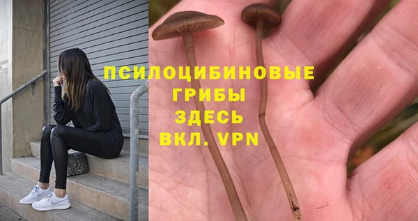 ALPHA PVP Балахна